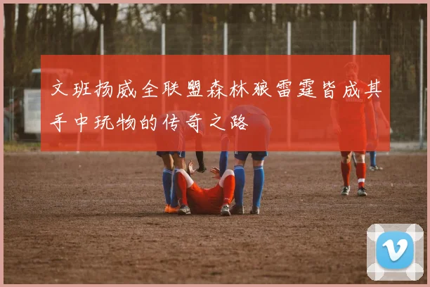 文班扬威全联盟森林狼雷霆皆成其手中玩物的传奇之路
